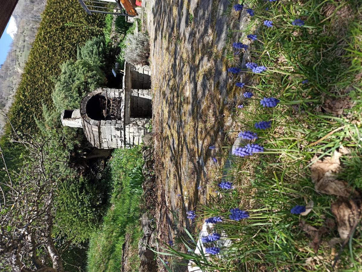 Chalet avec jardin Bourg-Saint-Maurice Extérieur photo